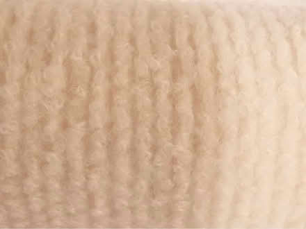 Photo of free Cat scratching fabric (Dow’s Lake) #2