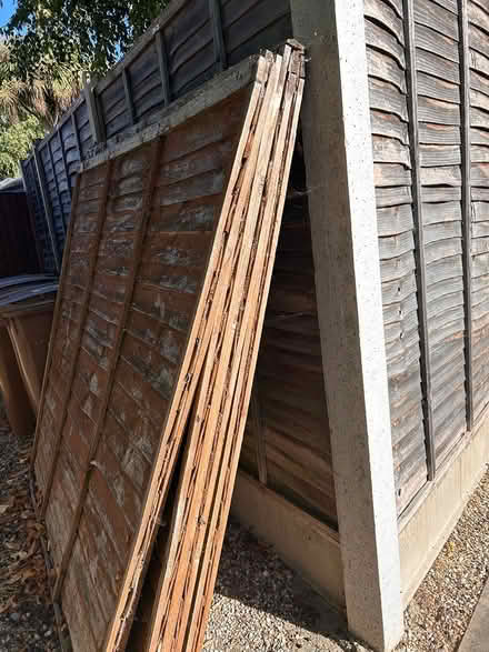 Photo of free 4 old fence panels (Chelmer village Chelmsford) #2