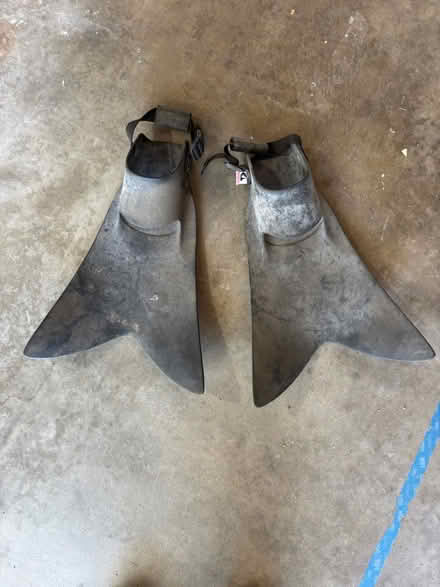 Photo of free Force Fins (Rural Petaluma) #1
