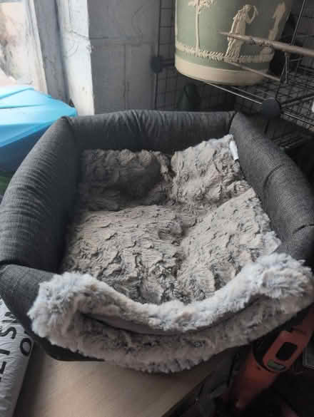Photo of free Cat beds (CO2 Colchester) #2
