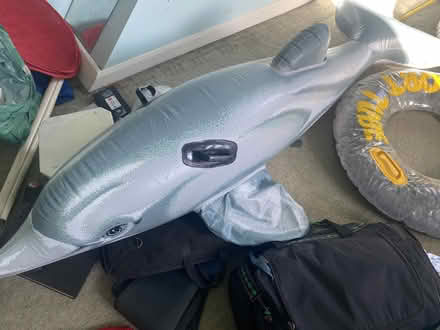 Photo of free Large inflatables - dolphin, ring (NW10) #1