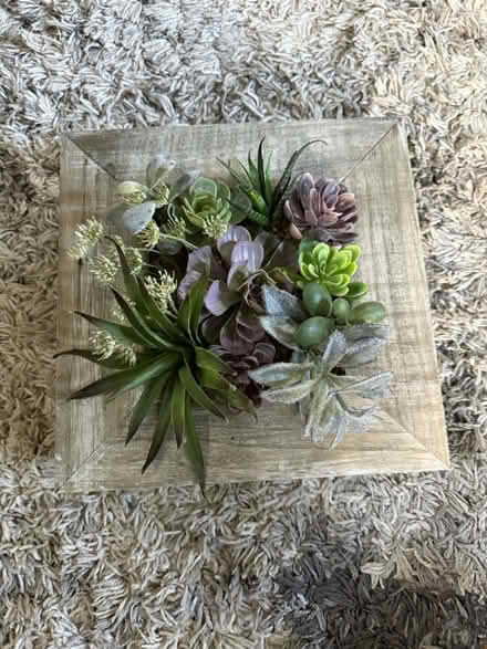 Photo of free Fake plant (Suitland) #1