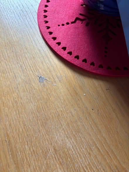 Photo of free Large table (Glenburn) #2