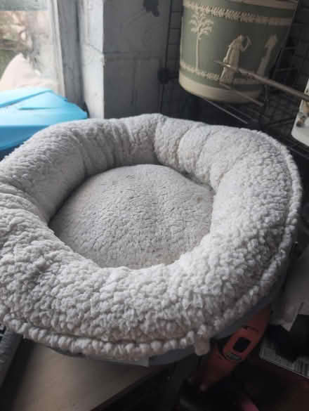 Photo of free Cat beds (CO2 Colchester) #3