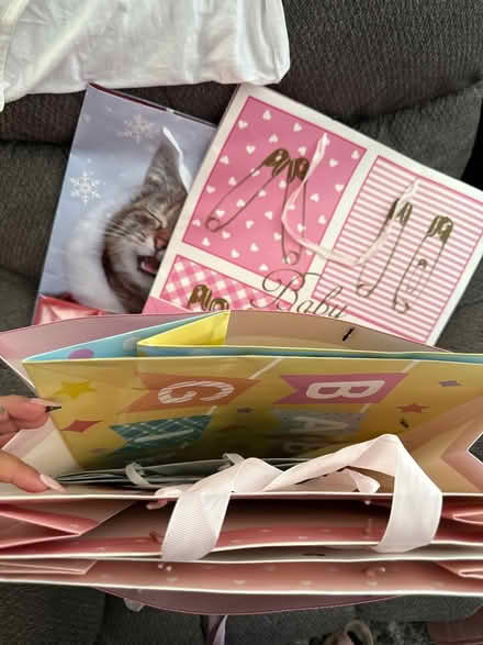 Photo of free Baby girl gift bags (Suitland) #1
