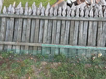 Photo of free Wood fencing (Oakland) #3