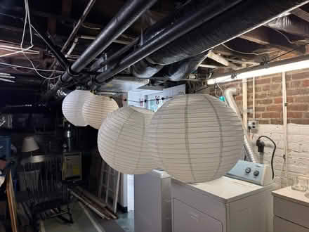 Photo of free Japanese lanterns (Museum District) #1
