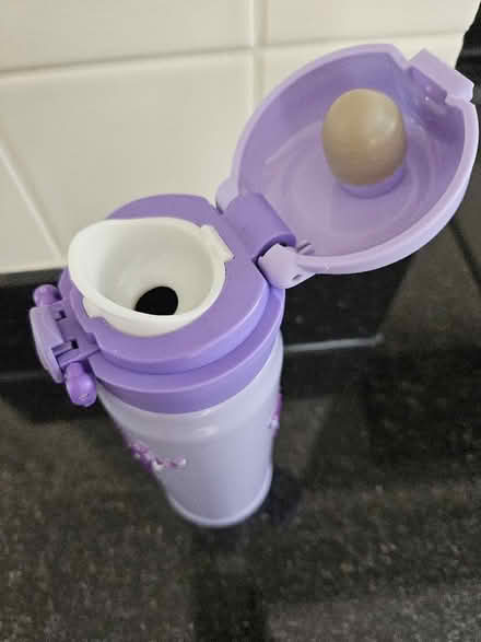 Photo of free Purple Insulated Metal Water bottle (Slyne-with-Hest LA2) #2
