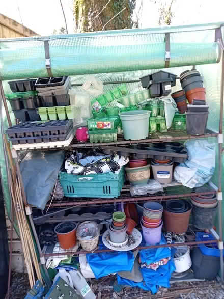 Photo of free Plant pots and seed trays (Staveley LA8) #1
