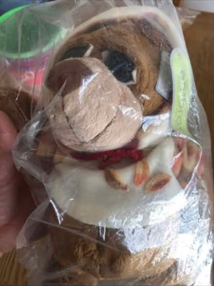 Photo of free Autumn Bear 🧸 (Cheshunt En8) #1