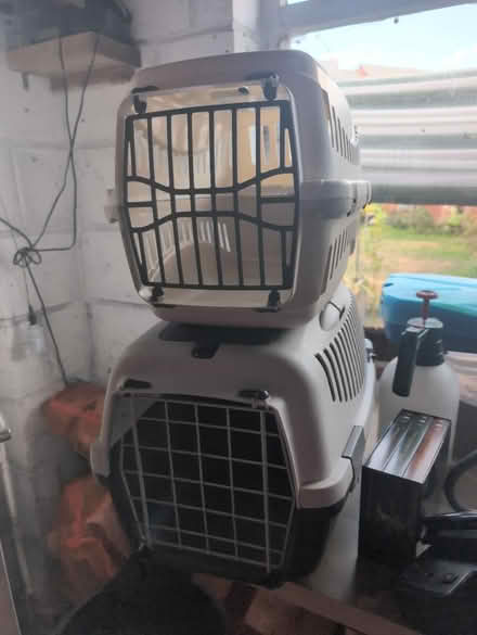 Photo of free Pet carrier (CO2 Colchester) #1
