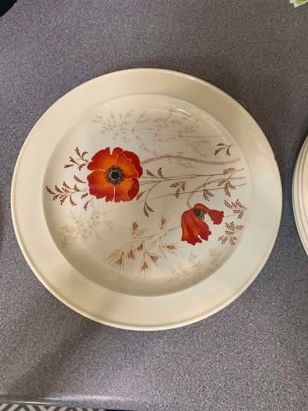 Photo of free 10/11 inch plates (Westgate LA3) #3