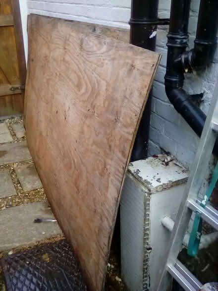 Photo of free 3 Sheets of Ply Ex Roofing (West Meon GU32) #1