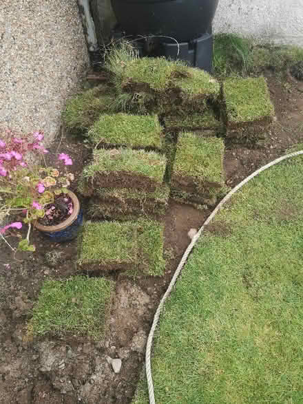 Photo of free Grass turf (Bridge of Allan FK9) #2