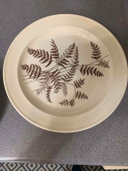 Photo of free 10/11 inch plates (Westgate LA3) #1