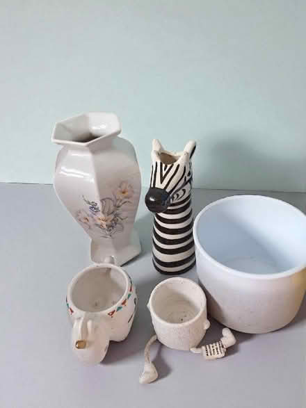 Photo of free Plant and flower vases (Paston) #2