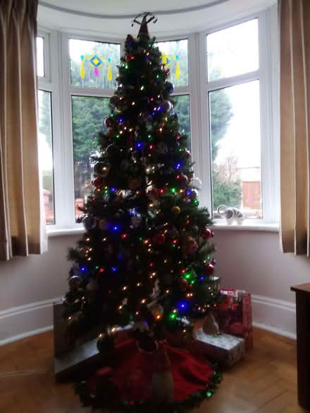 Photo of free christmas tree (Eccleston Lane Ends L34) #1