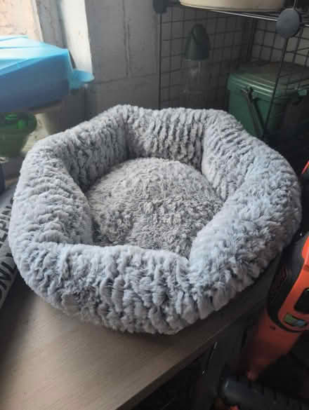 Photo of free Cat beds (CO2 Colchester) #1