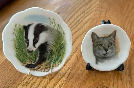 Photo of free Small Ornamental Display Plates (GU22) #1