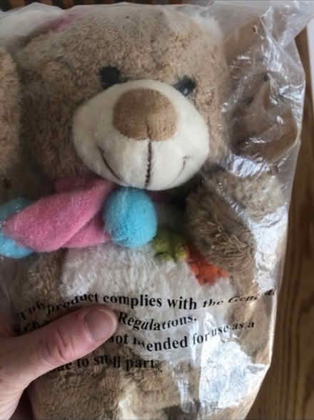 Photo of free Robbie The Bear 🧸 (Cheshunt En8) #1