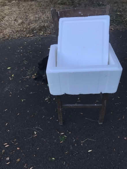 Photo of free Polystyrene cool box (Orleton SY8) #1