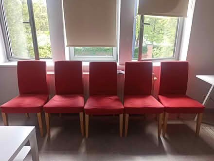 Photo of free 5 chairs (Ghent) #1