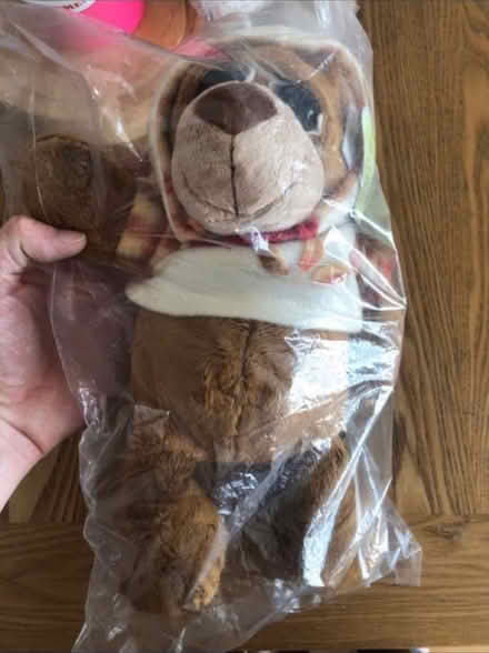 Photo of free Autumn Bear 🧸 (Cheshunt En8) #2