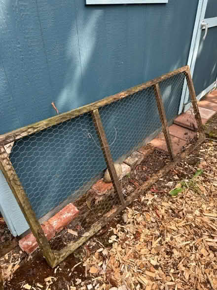 Photo of free Wooden frames with chicken wire (Leschi) #1
