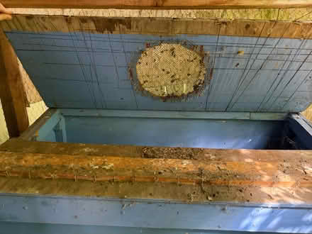 Photo of free Chicken coop (Leschi) #2