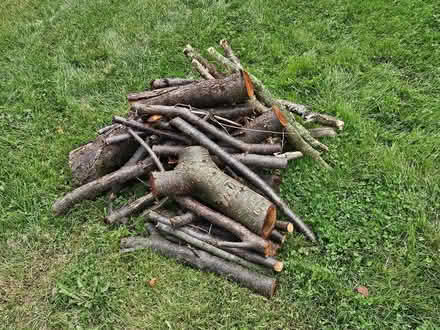 Photo of free Small Pile of Firewood (Northwest Side South Bend) #1