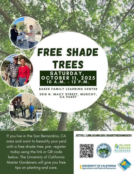 Photo of free Shade Tree Giveaway – Muscoy (Muscoy, California) #1