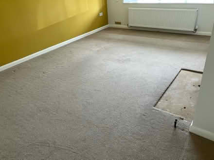 Photo of free Beige carpet (PE30) #1