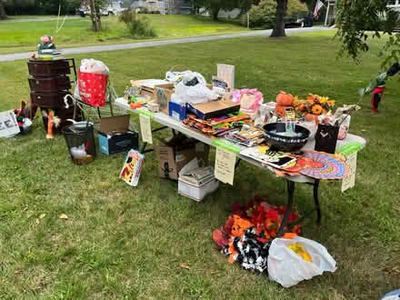 Photo of free in Newburgh (Town of Newburgh) #2