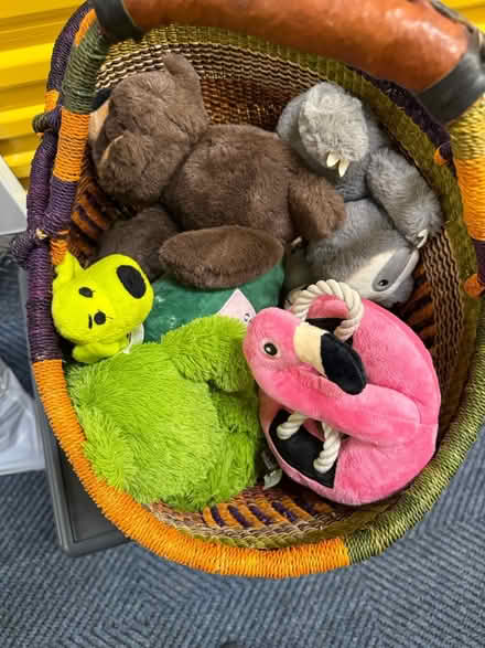 Photo of free Dog toys (South Slope) #1