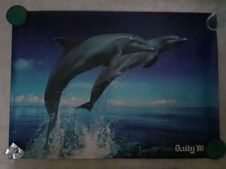 Photo of free Posters x 3 (Chatham ME4) #1