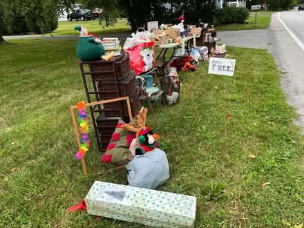 Photo of free in Newburgh (Town of Newburgh) #3