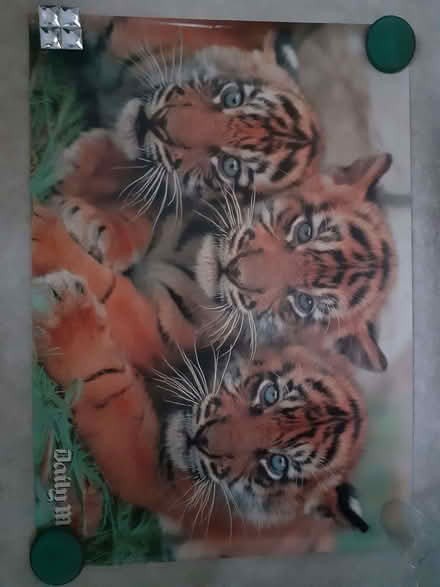 Photo of free Posters x 3 (Chatham ME4) #2