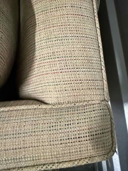 Photo of free Pull Out Sleeper Couch Queen (105 Albrecht Dr Lake Bluff IL) #2