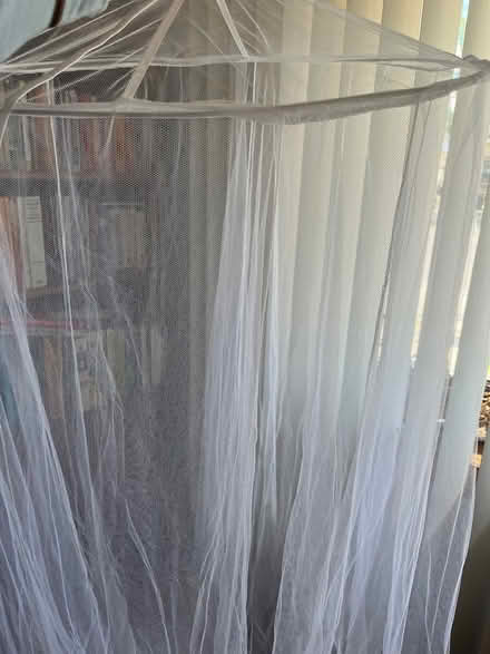 Photo of free Baby bed, toy mosquito net (Springfield Gardens 11413) #4