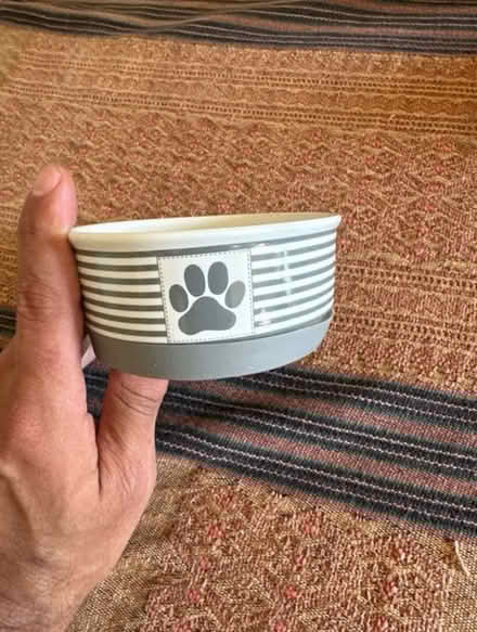 Photo of free Pet food bowl (Leschi/Madrona) #1