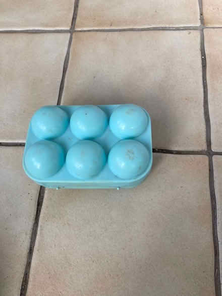 Photo of free Egg box (Gosport PO12) #1