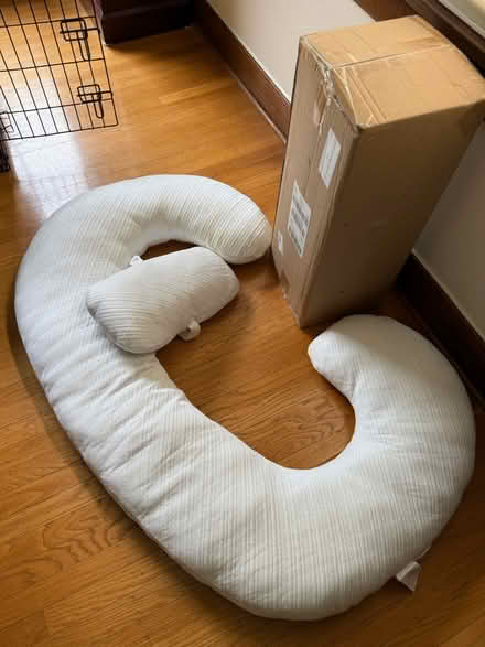 Photo of free Full body pillows (Capitol Hill) #1