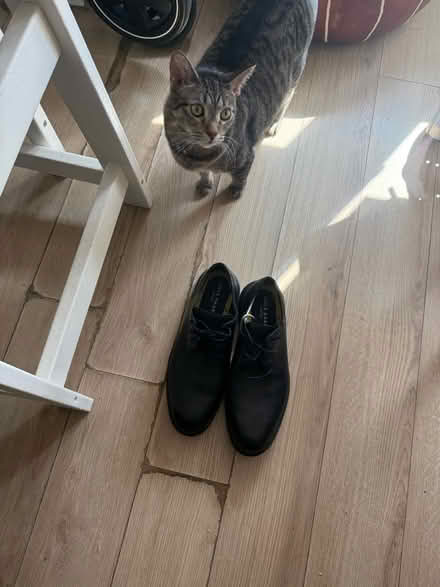 Photo of free Black Dress Shoes (Southwest DC-Navy Yard) #1