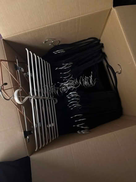 Photo of free Hangers (South Slope) #1