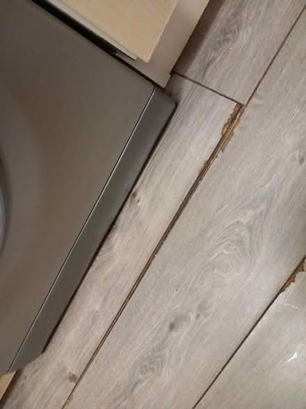 Photo of Grey floor laminate wood (Chester CH1) #1