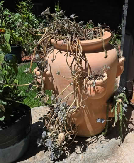 Photo of free Planter (I 20& I 285 Decatur) #1
