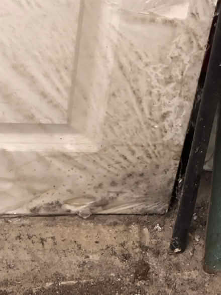 Photo of free 5 Fire doors FD30 (Burscough L40) #2