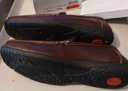 Photo of free Size12 shoes (Lower Bevendean BN2) #1