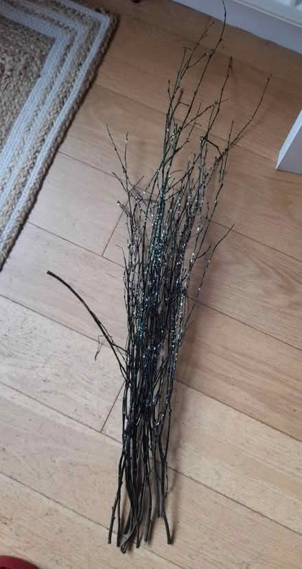 Photo of free Sparkly twigs (Kingsway) #1