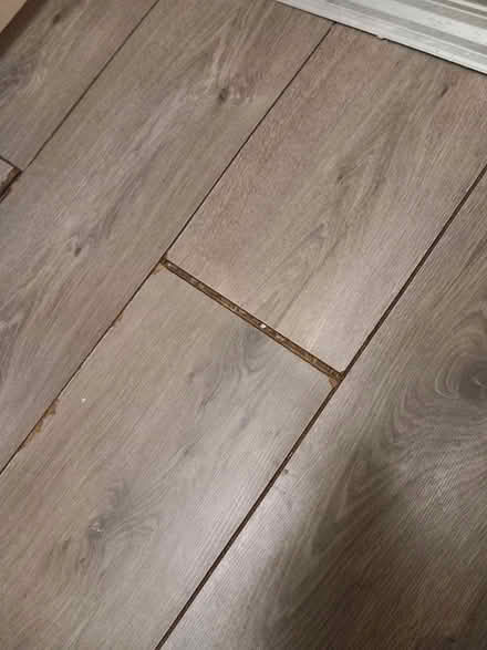 Photo of Grey floor laminate wood (Chester CH1) #2